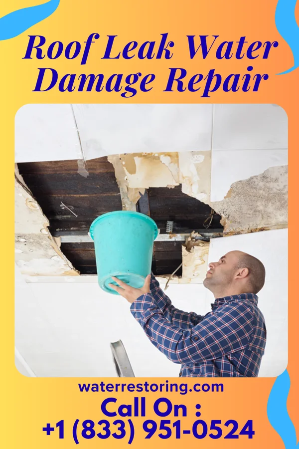 Roof Leak Water Damage Repair in Rocksprings, TX